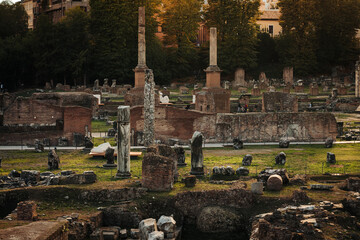 Wall Mural - Rome, Italy- November 2022: The beautiful ruins and architectures by the Fori Imperiali parc