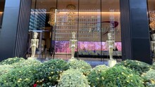 Row Of Golden Nutcracker Toy Soldiers Standing To Attention Outside New York City Christmas