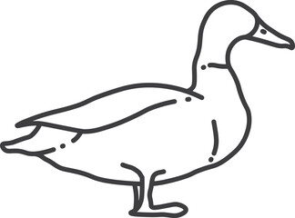 Wall Mural - Duck icon. Black line farm bird symbol