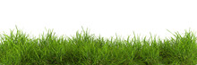 Natural Fresh Green Grass Cut Out Backgrounds 3d Rendering