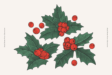 Christmas leaves and holly berries. Symbol of Merry Christmas and New Year. Design element for winter holiday cards, banners, textiles. Vector illustration on a light background.