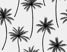 Seamless Pattern Background With Coconut Palm Trees.