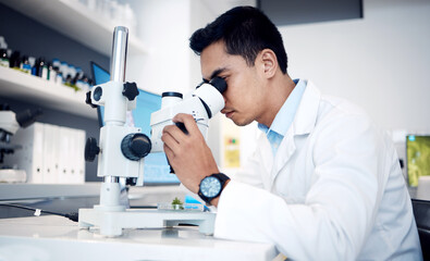 Aufkleber - Microbiology, research and scientist with microscope for bacteria in a lab, studying particles and science atom. Healthcare, innovation and worker with technology for medicine, atom data and test