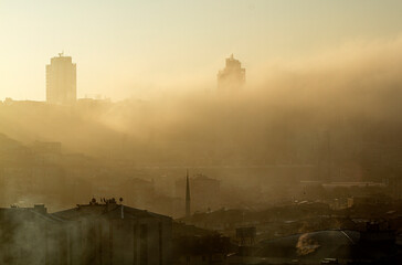 Canvas Print - fog in the city