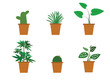 Indoor landscape garden potted plants isolated on white. Vector set green plant in pot.