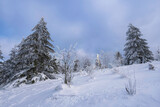 Fototapeta Na ścianę - Snow-covered landscape on the Großer Feldberg in the Taunus/Germany