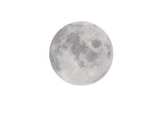 Wall Mural - super moon lights up in the night.