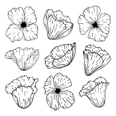 Wall Mural - Set of flowers poppy isolated on white background