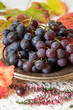 Winogrona na metalowym talerzu i jesienne liście