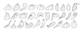 Fototapeta Desenie - Set of design elements, isolated on white background. Autumn design template, hand drawn pumpkins, flat vector illustration