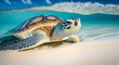 Green Sea Turtle Cruising in the warm waters of the Pacific Ocean	