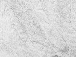 Wall Mural - White wool texture, close up, abstract fur background.