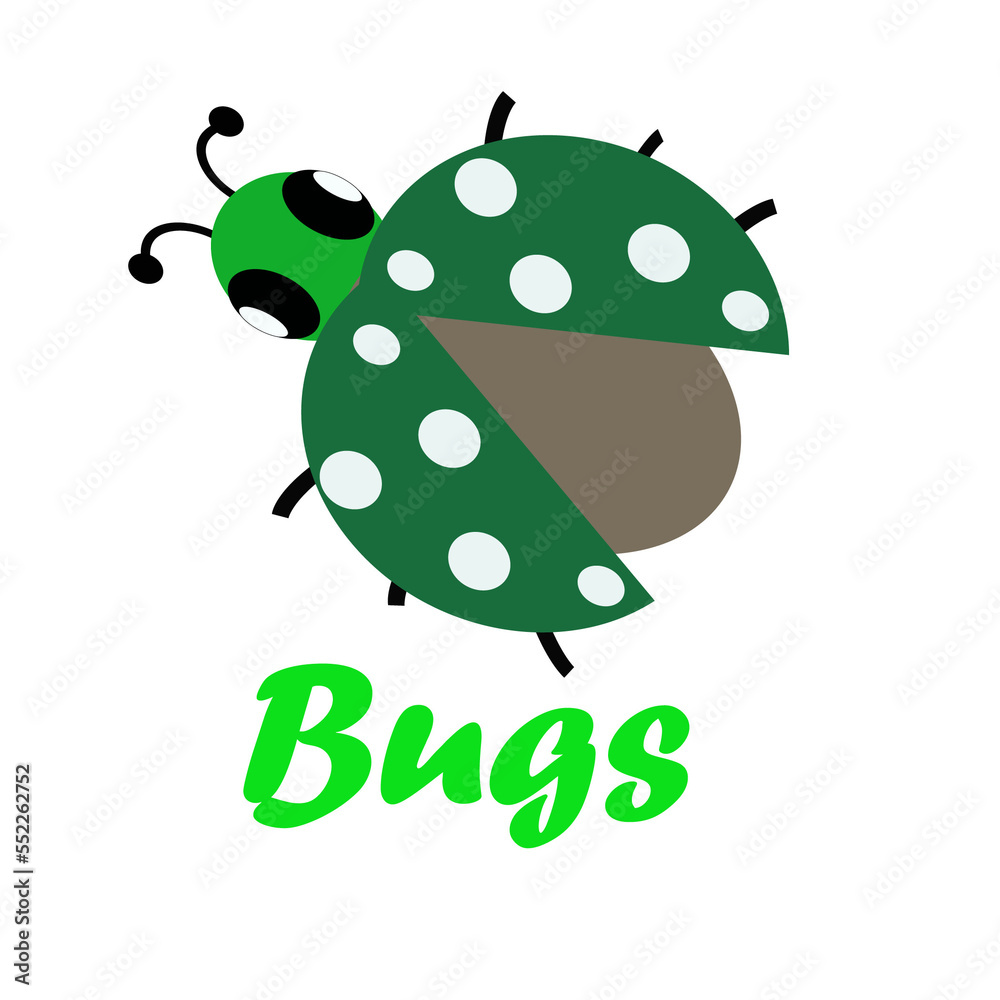 Hemiptera is an order of insects also known as ladybugs, Hemiptera ...