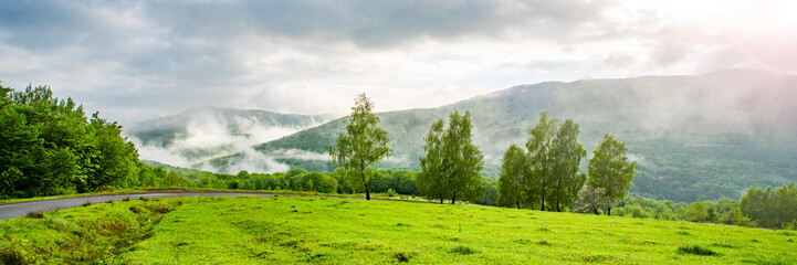 Wall Mural - A lush mountain valley covered in fog on a sunny day with green alpine meadows. Location Carpathians, Ukraine, Europe. Bright photo wallpapers. countryside . Panoramic view.