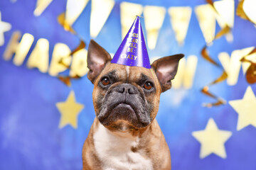 Wall Mural - French Bulldog dog wearing New Year's Eve party celebration hat in front of blue background decorated with golden garlands