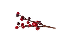 Branches Of Red Berries. Christmas Tree Branch, Isolated On Transparent Background Png. Christmas Decoration Red Berries Holly