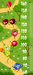 Wall Mural - Cartoon berry character on summer walk. Kids height chart, child height ruler or growth meter vector wall poster with blueberry, grape and cowberry, raspberry, cherry funny personages walking in park