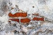 Alte Wand mit roter Backstein-Mauer