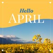 Composition of hello april text over flowers on yellow and blue background