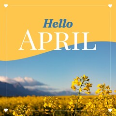 Wall Mural - Composition of hello april text over flowers on yellow and blue background