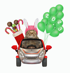 Wall Mural - Cat in rabbit ears with christmas boot rides car