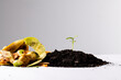 Organic fruit and vegetable waste for composting and seedling in dark soil, with copy space