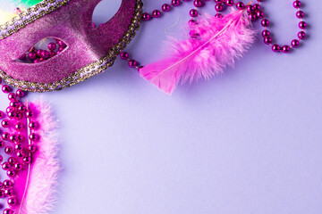 Wall Mural - composition of pink mardi gras beads and carnival mask on blue background with copy space