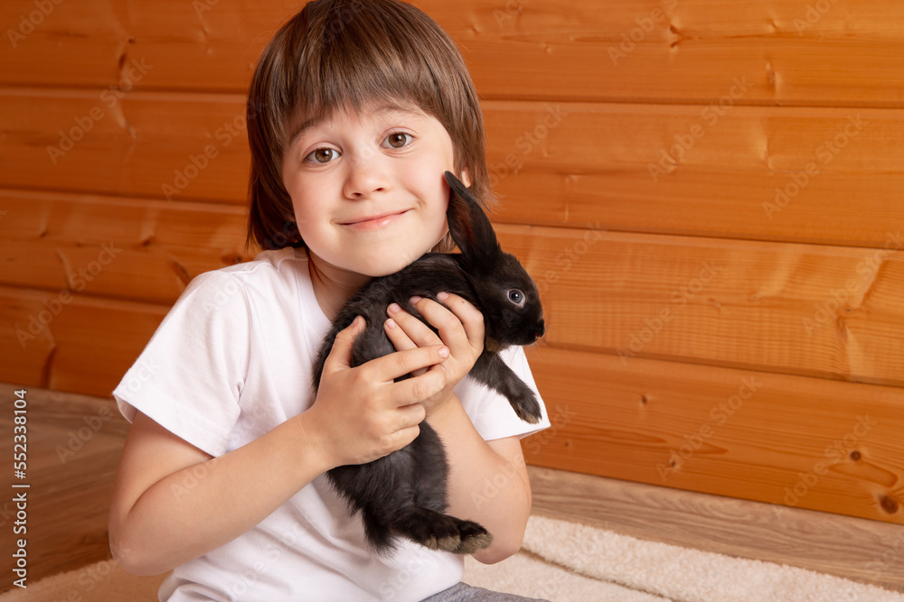 Child holds in hands the black rabbit. Boy at home interior background ...