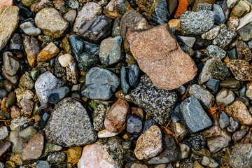 Wall Mural - Pebbles on the shore