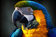Stunning blue and gold macaw with a curved beak, a neotropical rarity Generative AI