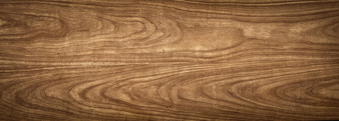 Wood tree texture close up. Wide walnut wood texture background. Walnut veneer is used in luxury finishes.