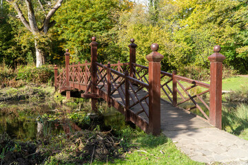 Wall Mural - wooden bridge in the woods