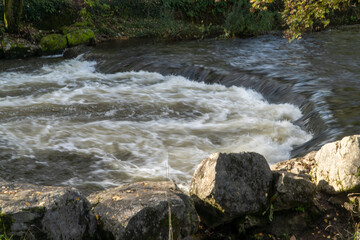 Wall Mural - river in the forest