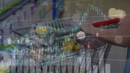 Poster - Animation of multiple graphs, trading board, cropped hands of caucasian woman holding shopping cart
