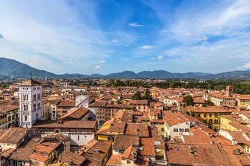 Wall Mural - lucca, italy. scenic aerial view of the medieval city