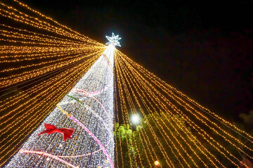 Wall Mural - Look up view blurred and bokeh of Christmas tree lighting on night time background.