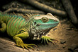 A green iguana surveys the parched landscape below. Generative AI