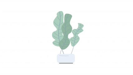 Wall Mural - Animated green houseplant object. Exotic bush with wavy leaves. Full sized flat item on white background with alpha channel transparency. Colorful cartoon style HD video footage for animation