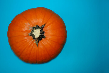 Wall Mural - orange pumpkin on a blue background.  view from above.  vegetables.  copy space