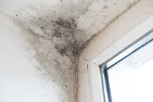 Black Mould And Fungus On Wall Near Window, It Spoils Look Of House And Is Very Harmful Parasite For Human Health. The Problem Of Ventilation, Dampness
