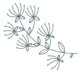 Poster - hand drawn botany. decorative floral print element