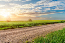 Country Road And Green Wheat Fields Natural Scenery At Sunrise