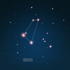 Wall Mural - constellation equuleus scheme in starry sky. open space. vector illustration equuleus constellation 