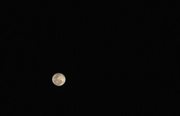 Wall Mural - full moon floating on clear sky in night