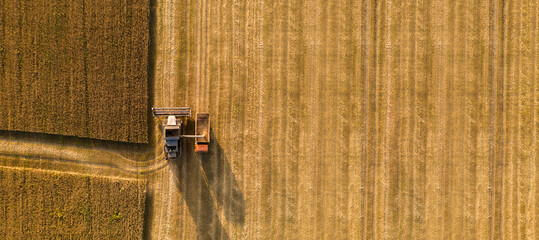 Aufkleber - Combine harvester on the field at sunset. Aerial view	