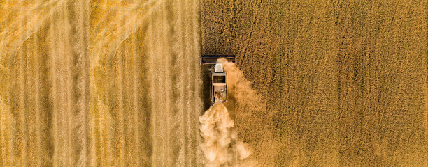 Sticker - Combine harvester on the field at sunset. Aerial view	