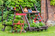 Colorful summer garden with ornaments