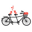 Cute love birds on a tandem bicycle, design for Valentine's day cards, wedding invitations, illustration over a transparent background, PNG image