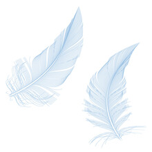 Blue Feathers, Detailed Illustration Over A Transparent Background, PNG Image

