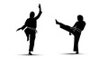 Martial arts silhouette logo vector illustration. Foreign word below the object means KARATE, with black color